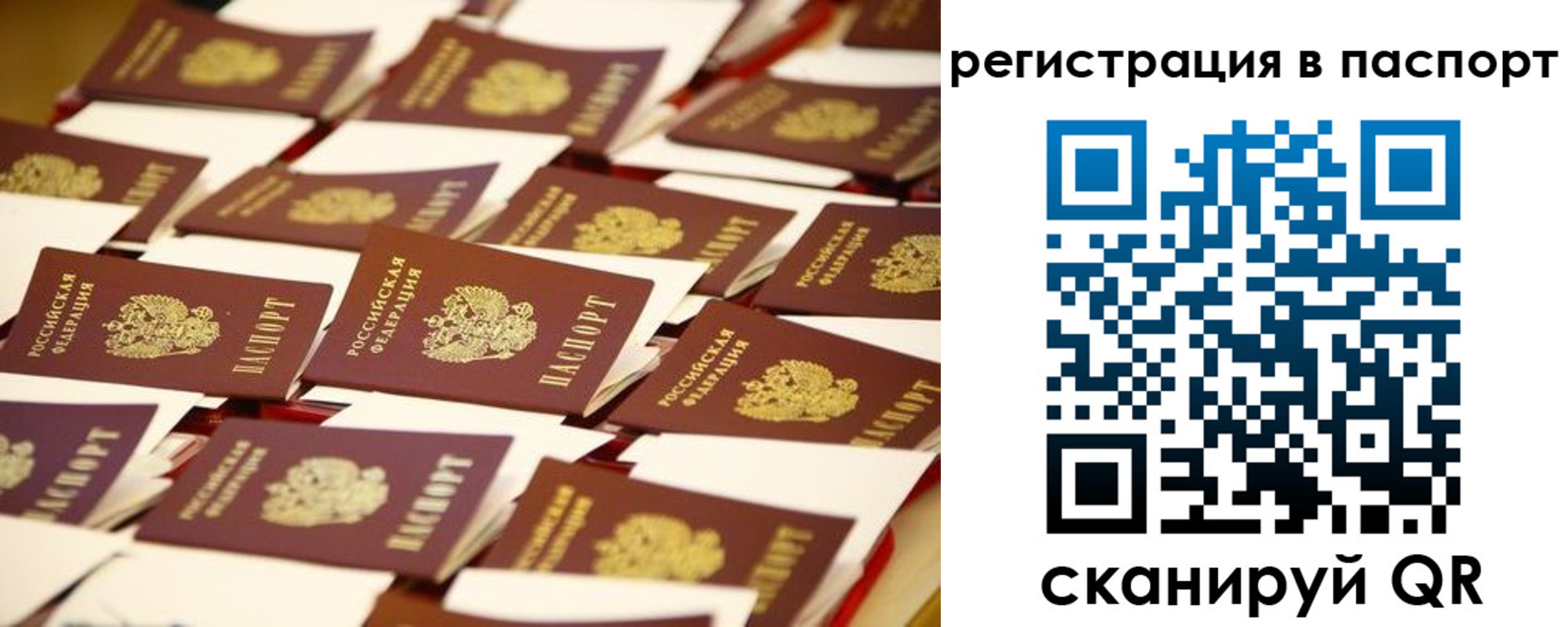 прописка гарантия в Вяземском